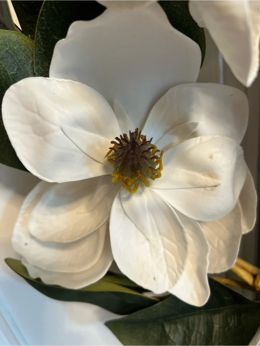 Classic White Magnolia Wreath with Lush Green Leaves
